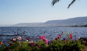 http://faithbiblechurch.homestead.com/files/Sea_of_Galilee_Josh_Bev_Pics_478.jpg