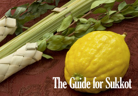 The Guide for Sukkot